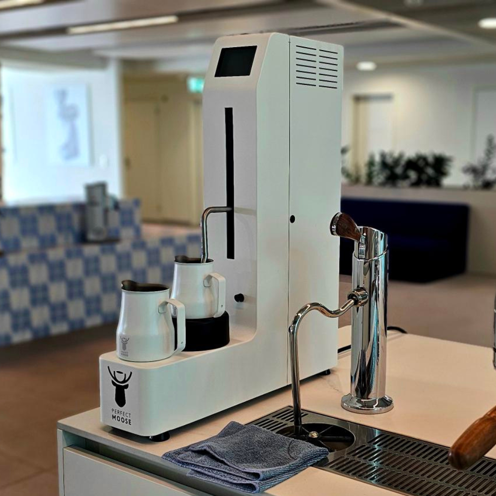 Perfect Moose Jack at Hemro Group offices